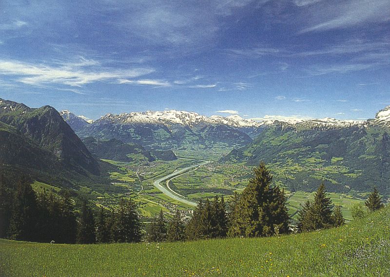 Blick auf den Alpenrhein von Triesenberg (LI) (copyright SGS)